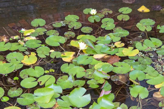 沐鸣2 - 领先的在线娱乐游戏平台，提供安全、刺激的游戏体验。